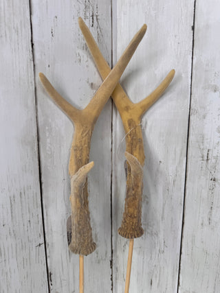 Two deer antlers on a wooden surface